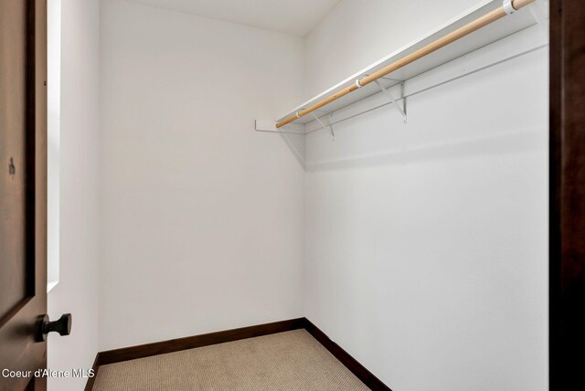 969 Flying Geese Way, Blanchard, ID 83804 - photo 21