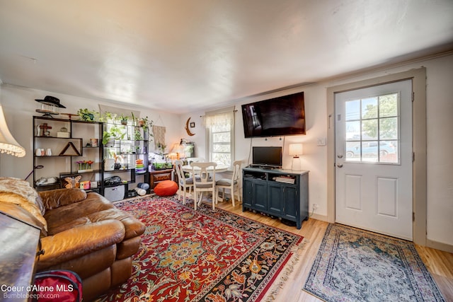 219 E 4th St, Oldtown, ID 83822 - living area featuring plenty of natural light and light wood-type flooring