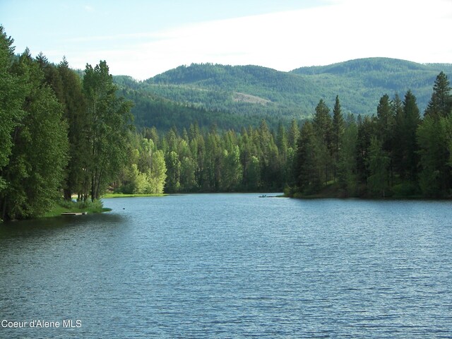 6 Sand Trap Ln, Blanchard, ID 83804 - photo 23