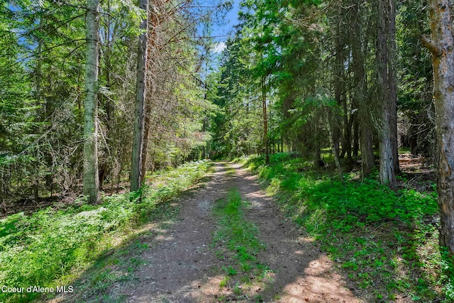 480 Mountain Meadows Rd, Naples, ID 83847 - photo 44