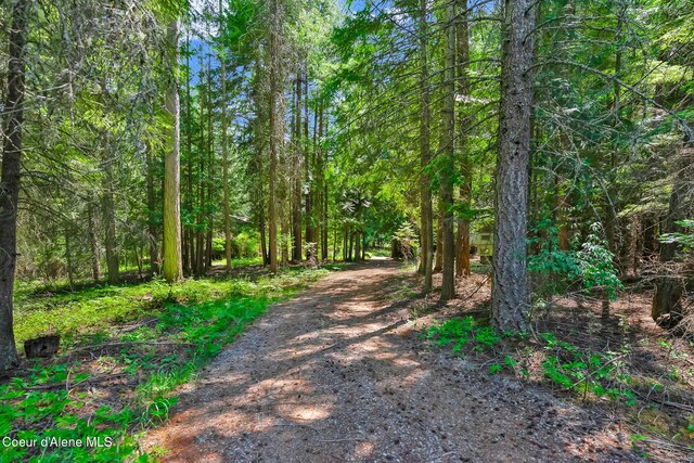 480 Mountain Meadows Rd, Naples, ID 83847 - photo 50