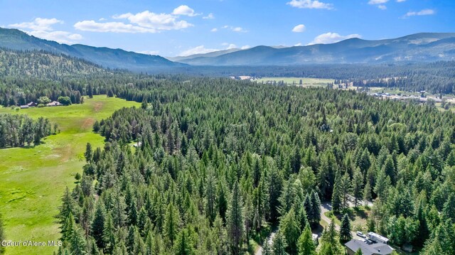 480 Mountain Meadows Rd, Naples, ID 83847 - photo 54