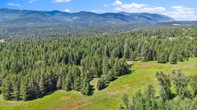 480 Mountain Meadows Rd, Naples, ID 83847 - photo 56