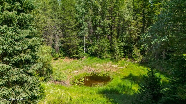480 Mountain Meadows Rd, Naples, ID 83847 - photo 58