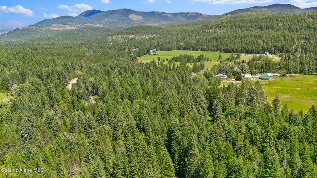 480 Mountain Meadows Rd, Naples, ID 83847 - photo 60