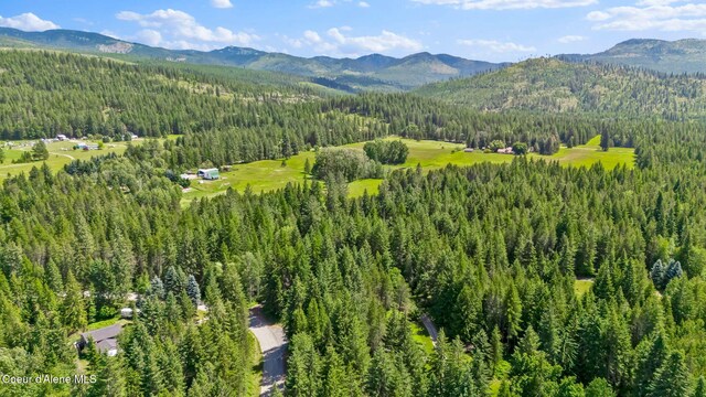480 Mountain Meadows Rd, Naples, ID 83847 - photo 61