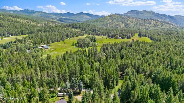 480 Mountain Meadows Rd, Naples, ID 83847 - photo 62