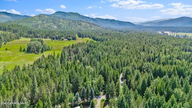 480 Mountain Meadows Rd, Naples, ID 83847 - photo 63