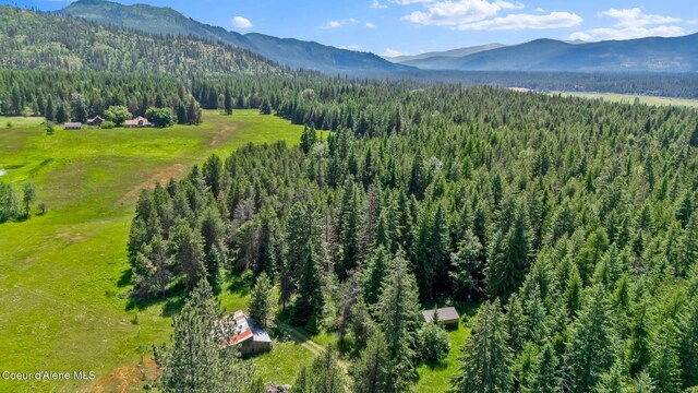 480 Mountain Meadows Rd, Naples, ID 83847 - photo 64