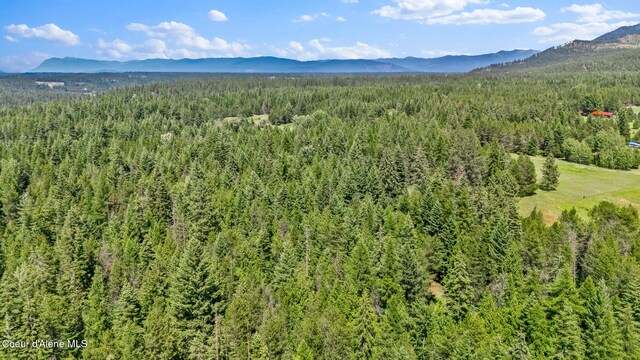 480 Mountain Meadows Rd, Naples, ID 83847 - photo 65