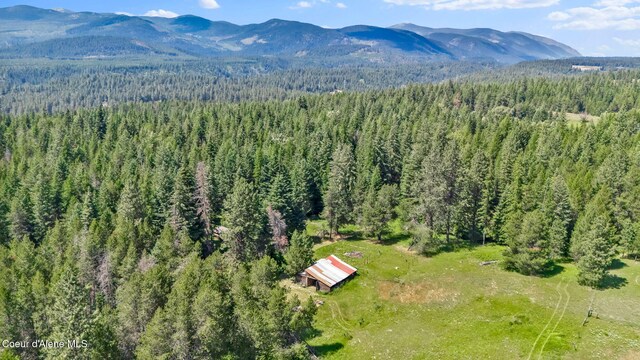 480 Mountain Meadows Rd, Naples, ID 83847 - photo 66