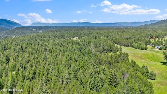 480 Mountain Meadows Rd, Naples, ID 83847 - photo 67