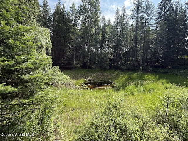 480 Mountain Meadows Rd, Naples, ID 83847 - photo 31