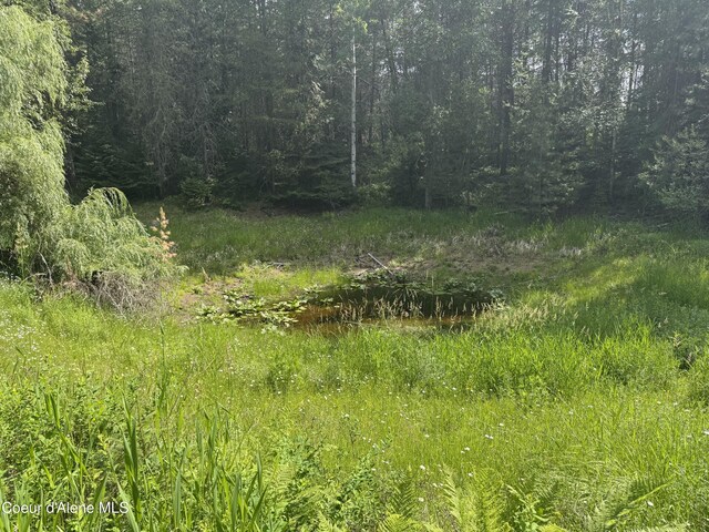 480 Mountain Meadows Rd, Naples, ID 83847 - photo 32