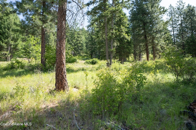 LOT23 Pintail Dr, Bonners Ferry, ID 83805 - photo 6