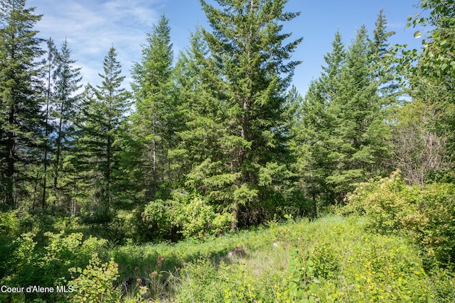 LOT23 Pintail Dr, Bonners Ferry, ID 83805 - photo 9