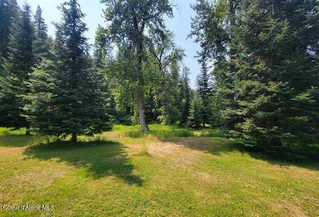 437 Clearcreek Rd, Kooskia, ID 83539 - photo 4