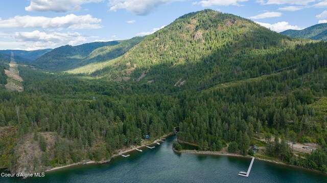 NKA W Kamloop Ave, Bayview, ID 83803