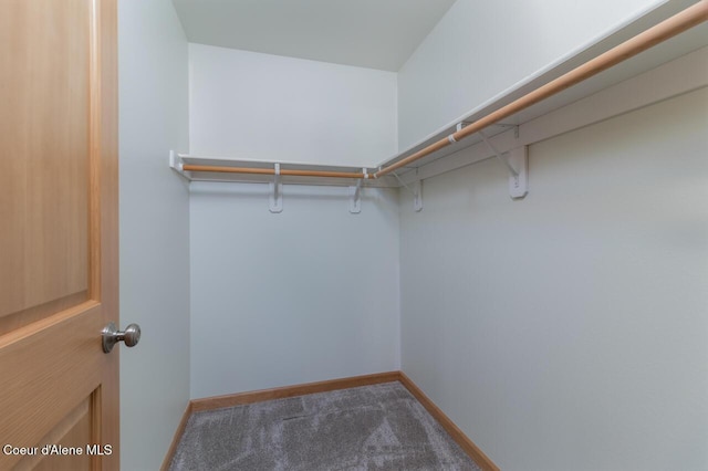 156 Promise Ln, Moyie Springs, ID 83845 - spacious closet featuring carpet