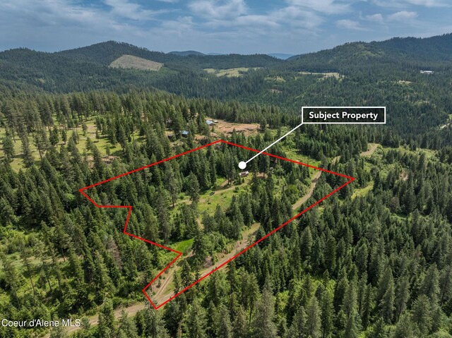 15040 S Bench Rd, Harrison, ID 83833 - photo 3