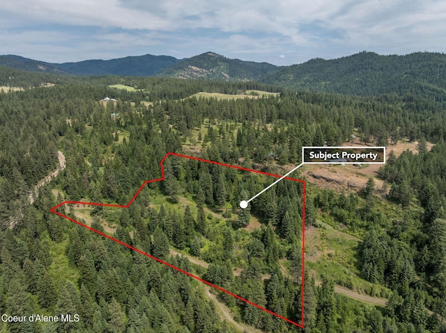 15040 S Bench Rd, Harrison, ID 83833 - photo 4