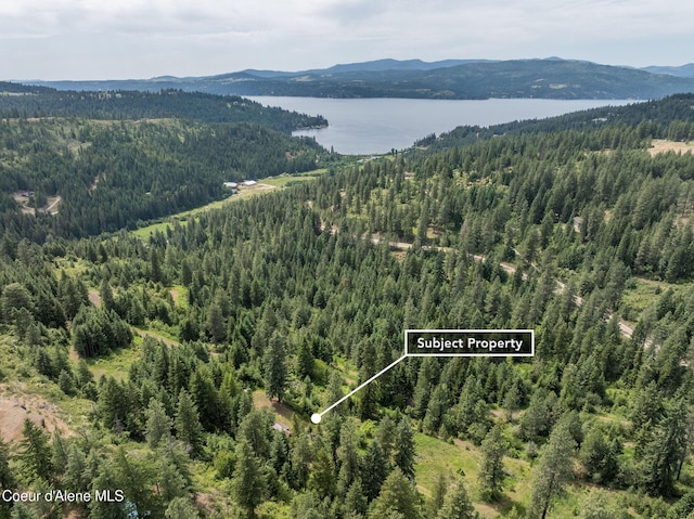 15040 S Bench Rd, Harrison, ID 83833 - photo 1