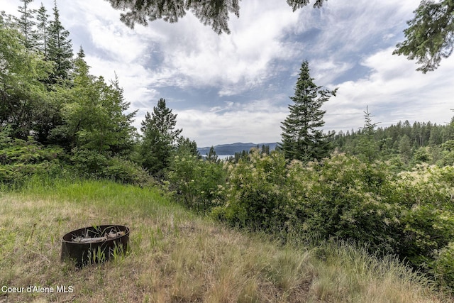 15040 S Bench Rd, Harrison, ID 83833 - photo 10