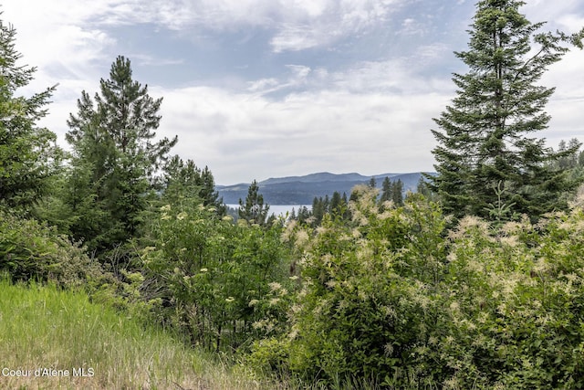 15040 S Bench Rd, Harrison, ID 83833 - photo 11