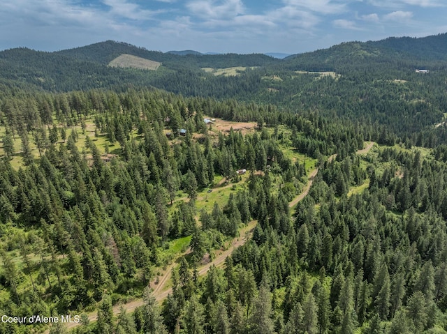 15040 S Bench Rd, Harrison, ID 83833 - photo 24