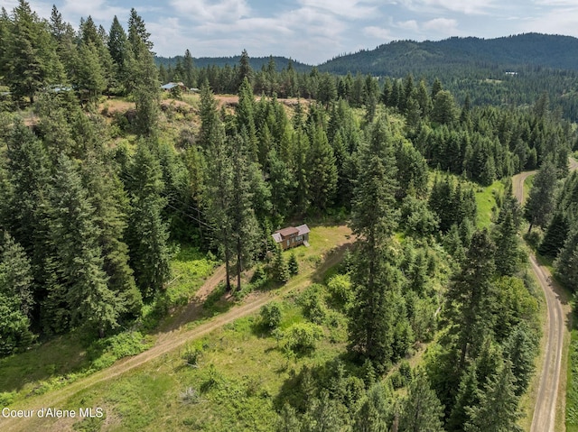 15040 S Bench Rd, Harrison, ID 83833 - photo 25