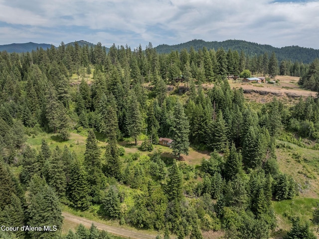 15040 S Bench Rd, Harrison, ID 83833 - photo 26