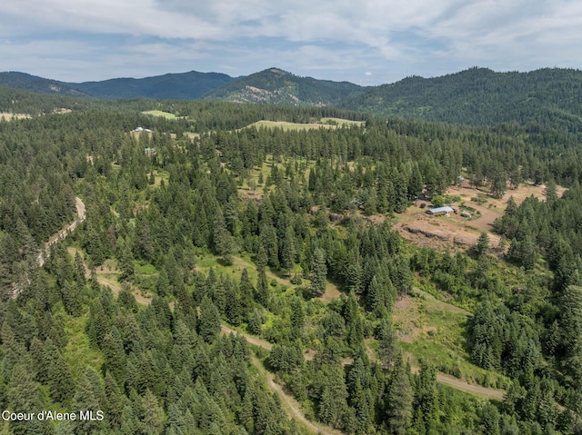15040 S Bench Rd, Harrison, ID 83833 - photo 27