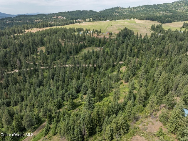 15040 S Bench Rd, Harrison, ID 83833 - photo 29