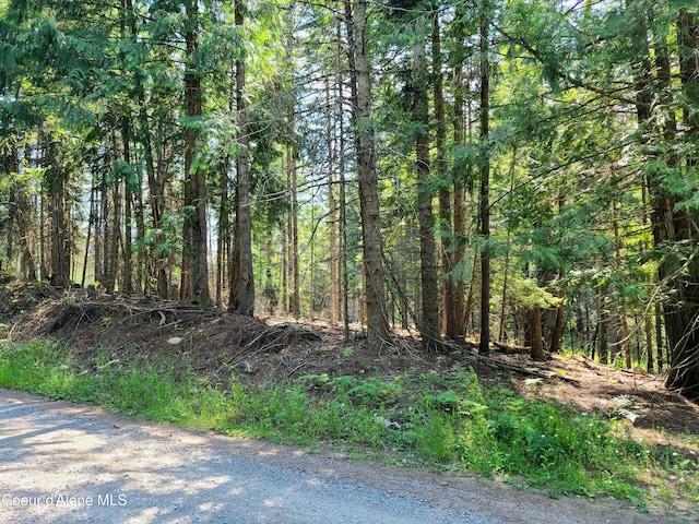 NNA Green Bay Road, Sagle, ID 83860 - photo 14