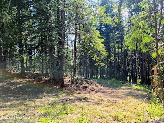 NNA Green Bay Road, Sagle, ID 83860 - photo 15