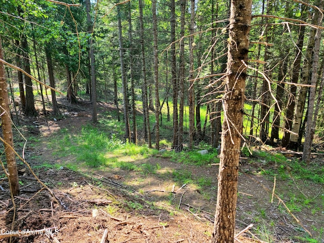 NNA Green Bay Road, Sagle, ID 83860 - photo 7