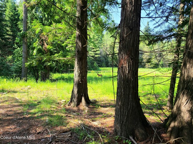 NNA Green Bay Road, Sagle, ID 83860 - photo 9