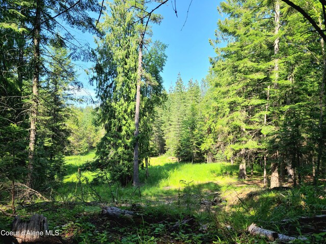 NNA Green Bay Road, Sagle, ID 83860 - photo 6