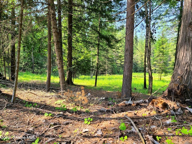 NNA Green Bay Road, Sagle, ID 83860 - photo 1