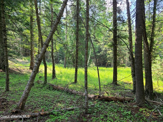 NNA Green Bay Road, Sagle, ID 83860 - photo 13