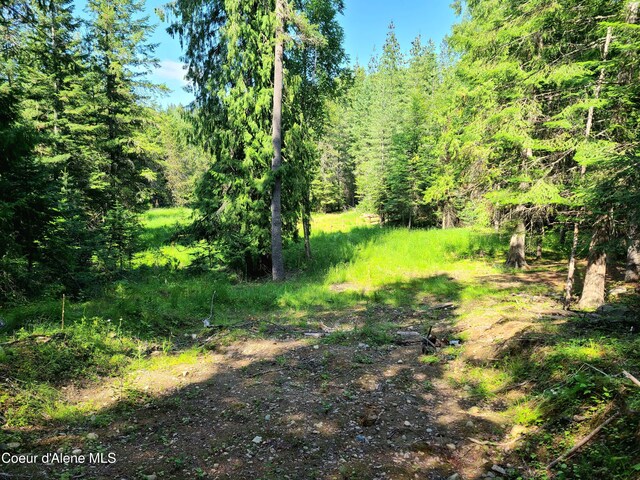 NNA Green Bay Road, Sagle, ID 83860 - photo 10