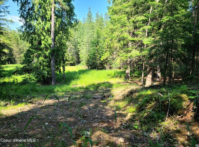 NNA Green Bay Road, Sagle, ID 83860 - photo 12