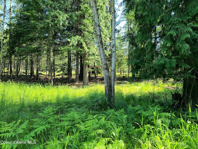 NNA Green Bay Road, Sagle, ID 83860 - photo 11