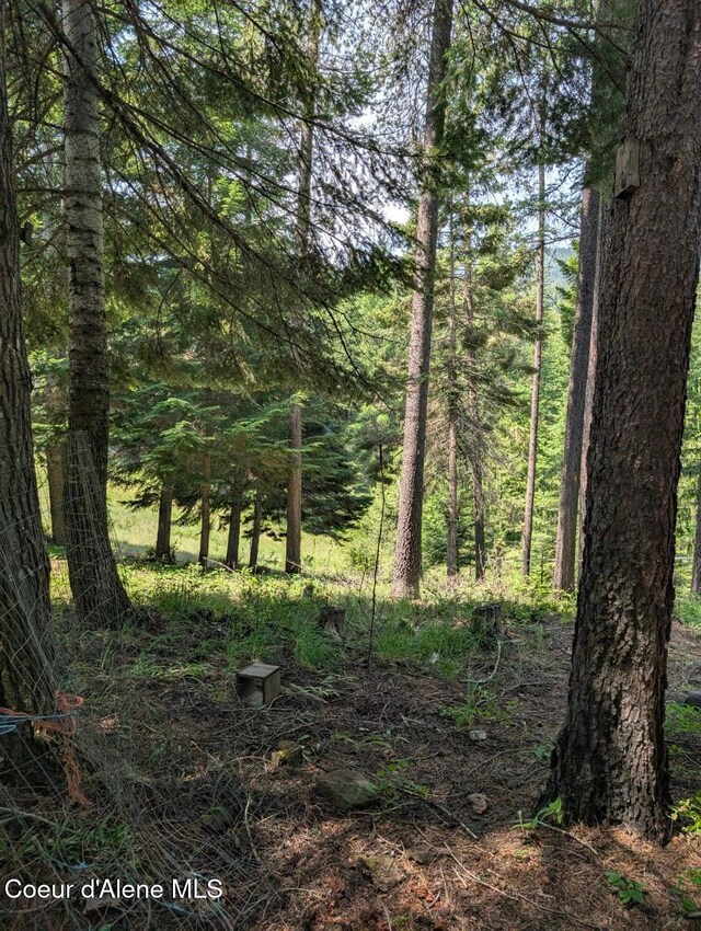 1807 Eileen Rd, Moyie Springs, ID 83845