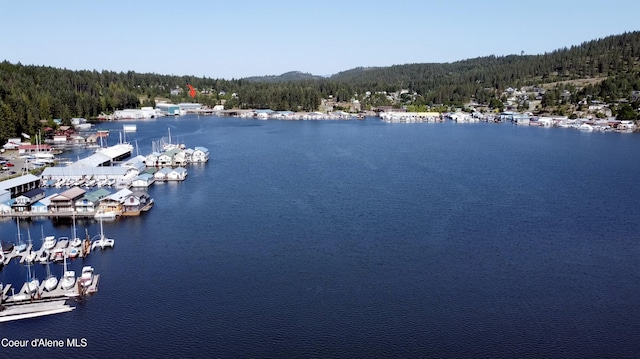 NKA Stubs St, Bayview, ID 83803