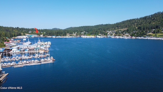 NKA Stubs St, Bayview, ID 83803