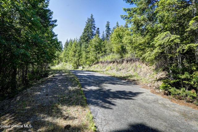 NKA Stubs St, Bayview, ID 83803