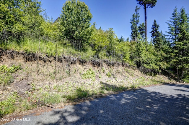 NKA Stubs St, Bayview, ID 83803