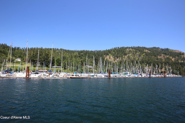 NKA Stubs St, Bayview, ID 83803