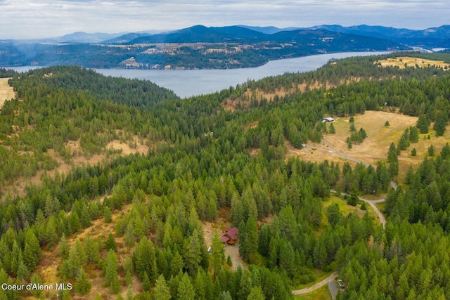 26443 S Farup Rd, Worley, ID 83876 - bird's eye view of a forest and a water and mountain view